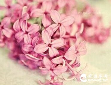 今生,我负责两种人