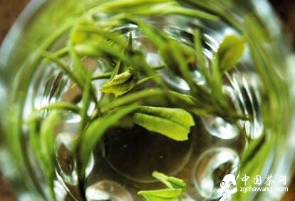 茶氨酸的作用，我和我的小伙伴都惊呆了！