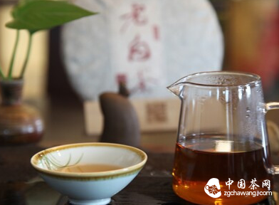 邂逅一杯老白茶