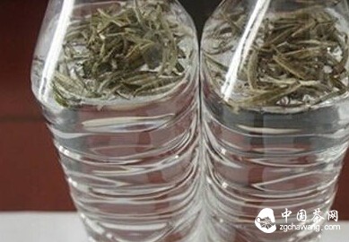 清雅白茶药性高!日常六大方式冲泡白茶,生活处处有茶香