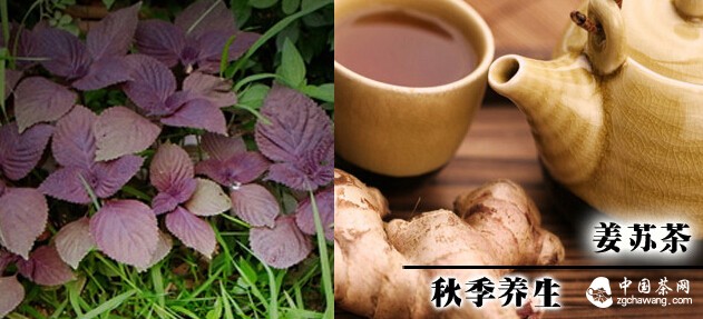 入秋喝杯茶,润燥益气