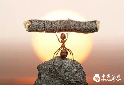 读完，你会放下很多