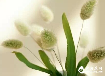 很暖......很暖......