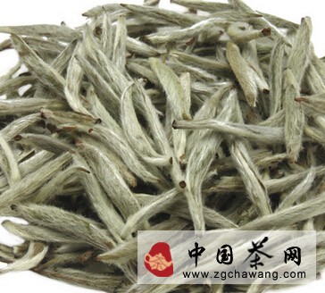 伏天该怎么喝白茶来消暑降温呢?