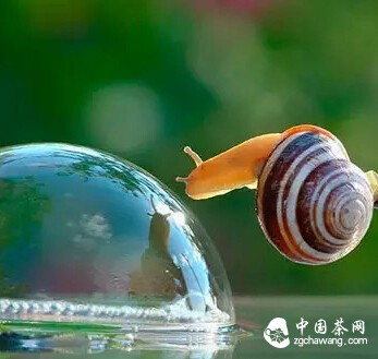 我在春天 等你