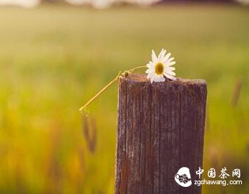 人生，九个不懂