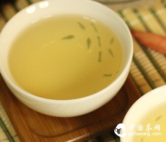 如何冲泡各种普洱茶？