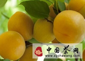 十八种最能抗癌的蔬果，快看！哪种你吃得最多？？