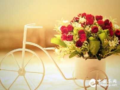 生 命 是 一 种 回 声