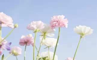 你漫不经心的一句话，就温暖了我整个心房