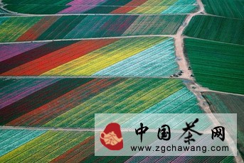 摄影：上帝视觉看世界