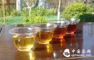 据说90%的人都不知道!!关于普洱茶,你还需要虚心学习!