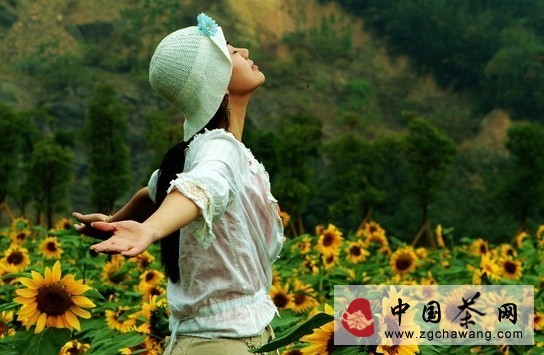 这段话真是说漂亮极了!