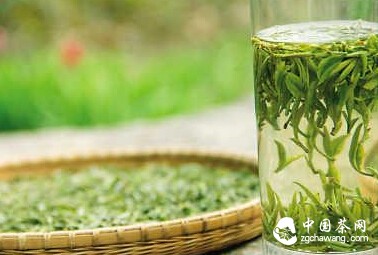 怎样泡出茶的清香味?品质生活必备