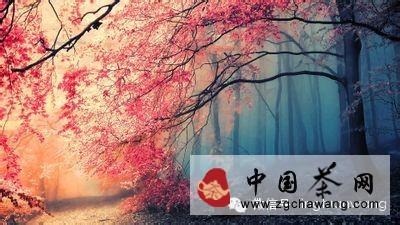 聪明挽救不了道德缺陷,值得深思!