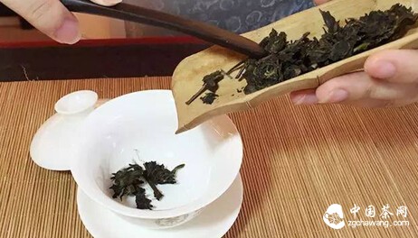 解析，茶梗与黑茶耐泡性的关系！