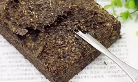 黑茶长虫还能喝吗？