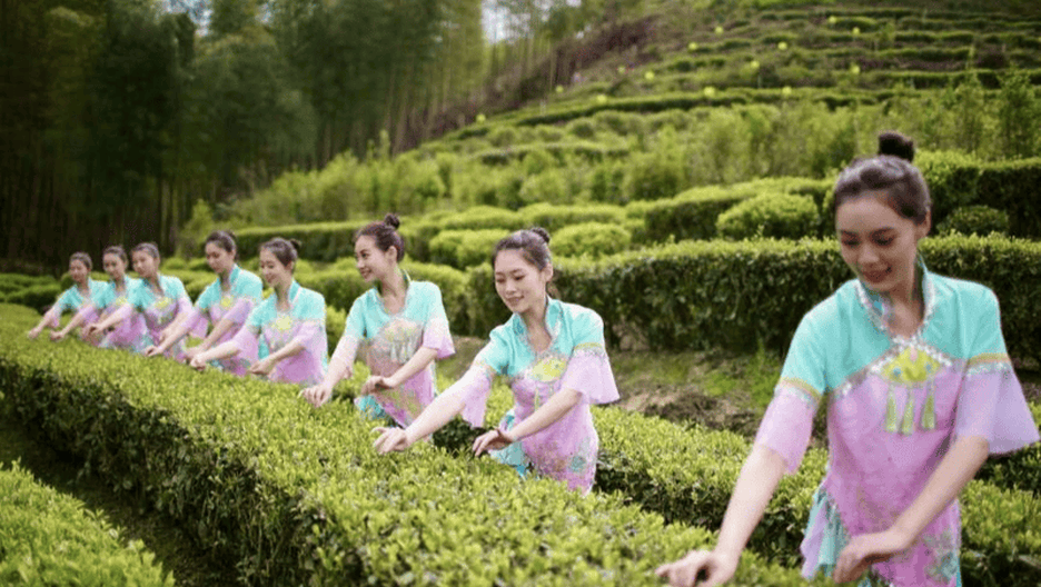 知否·年味 | 吉祥歌舞迎新春——龙岩采茶灯