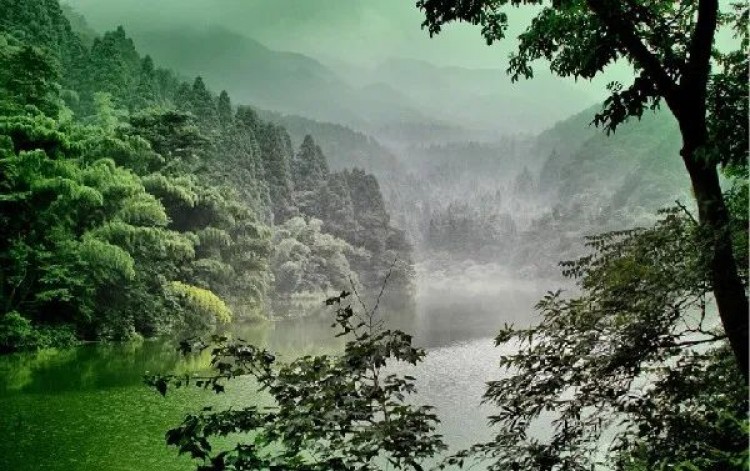 庐山云雾茶和天下第一泉:谷帘泉