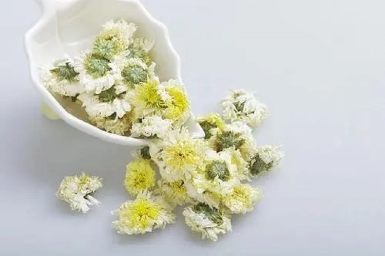 胎菊和贡菊的功效区别