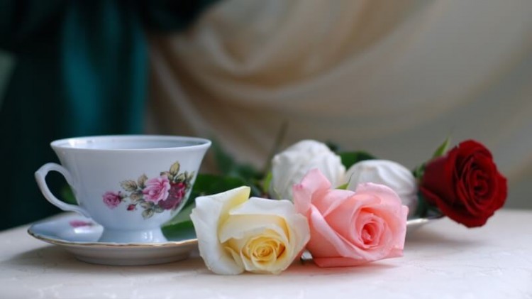 喝菊花茶应注意什么