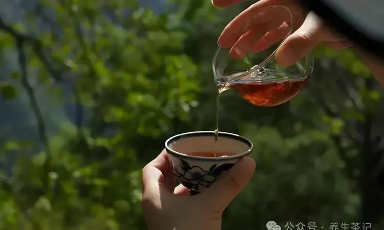 春日，有一种幸福叫做静静的喝茶！