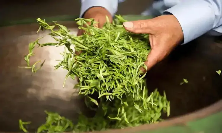 茶叶是越贵越好喝吗?茶叶贵的原因是什么?