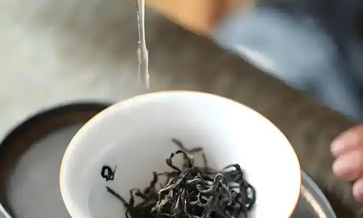 如何掌握好泡茶的温度?