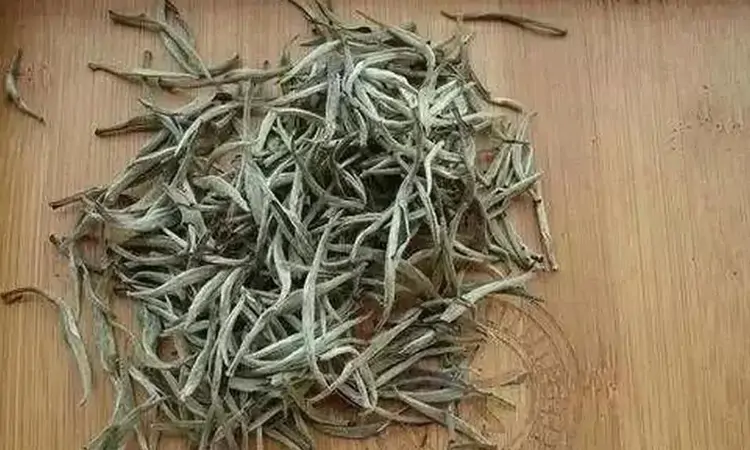 茶中极品:凌云白毫茶
