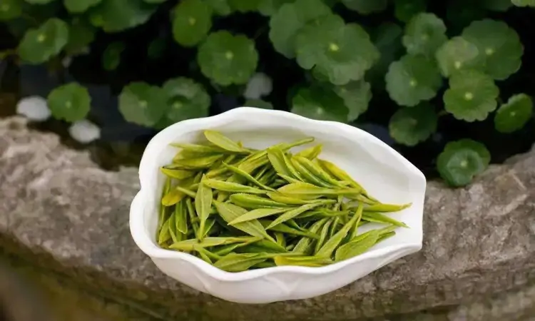 四个选茶方法,轻松避开劣质茶