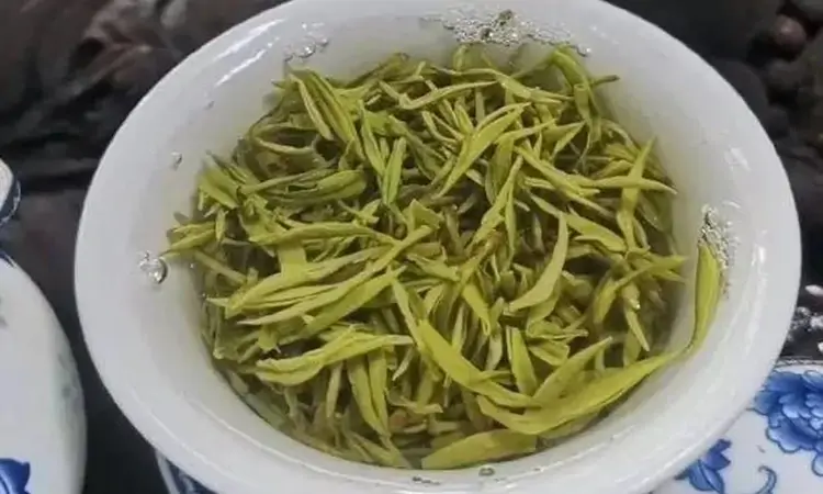 绿茶瑰宝:桂平西山茶