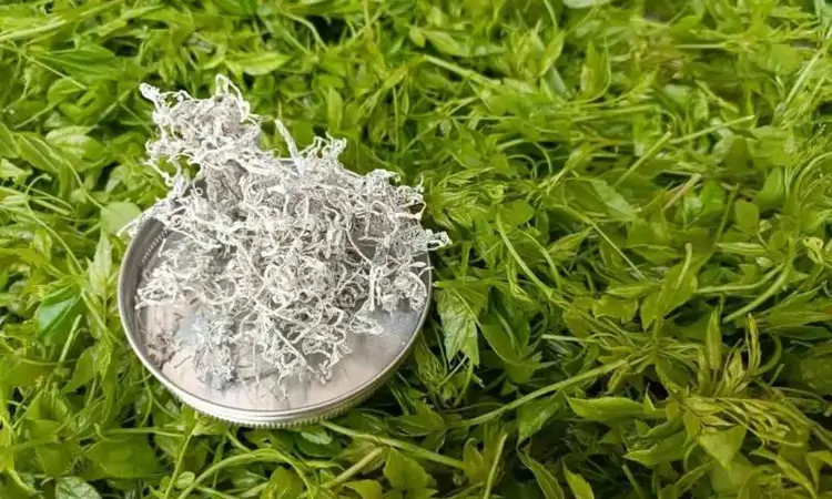 新华社发重磅长文:来凤藤茶如何花30年时间“出山”又出圈