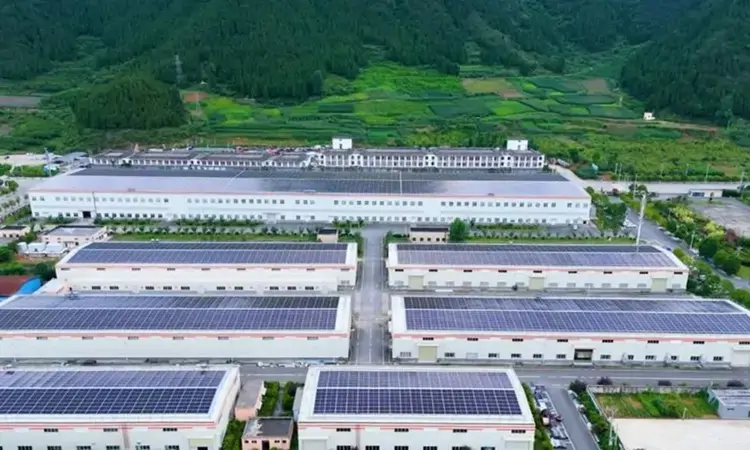 2025出海续航!贵州抹茶再次大规模出口日本