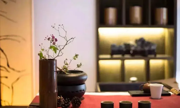 饮茶十三宜,完美品茶时