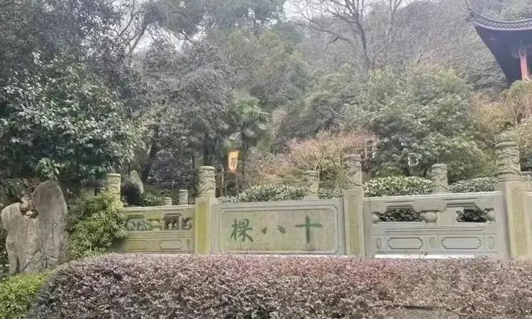 千年茶韵,西湖至味——中国绿茶之冠龙井茶