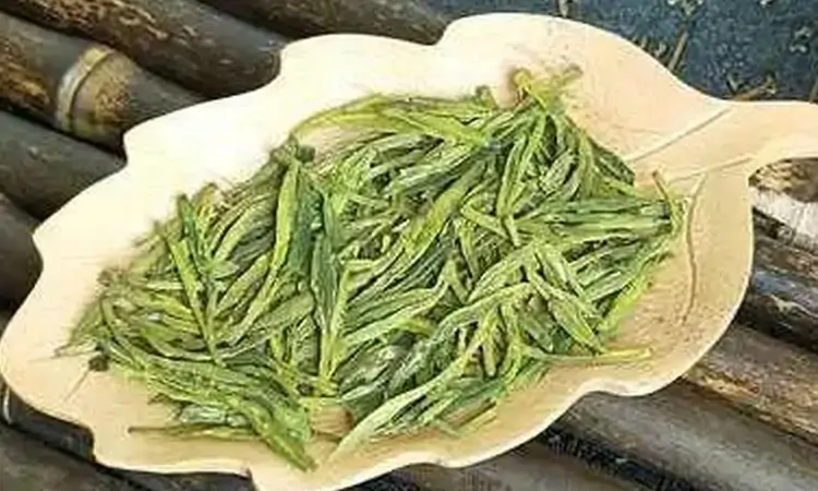 浙江名茶之千岛玉叶茶