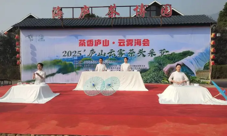 江西庐山：春茶开采 品味茶香盛宴