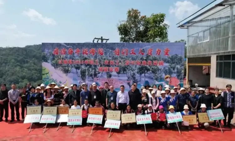 普洱江城举办职工（农民）茶叶标准化采摘技能竞赛活动