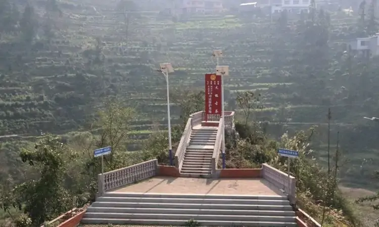 毕节市七星关区：古茶香飘话振兴