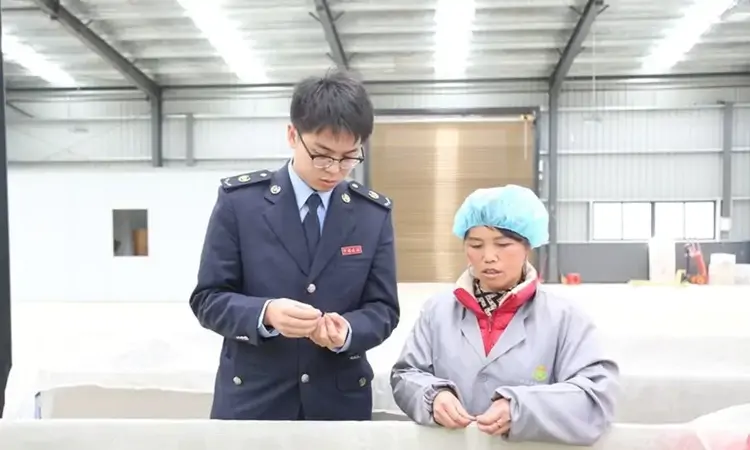 安顺：春茶飘香采摘忙 税润茶园助飘香