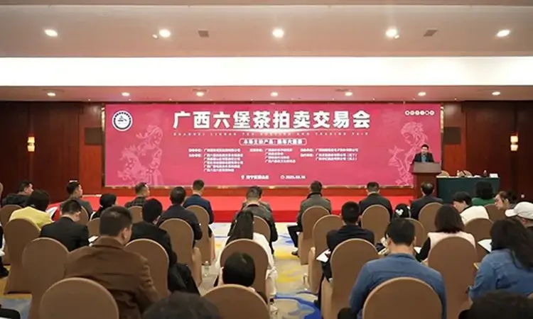 2025年第三场广西六堡茶拍卖交易会如期举办