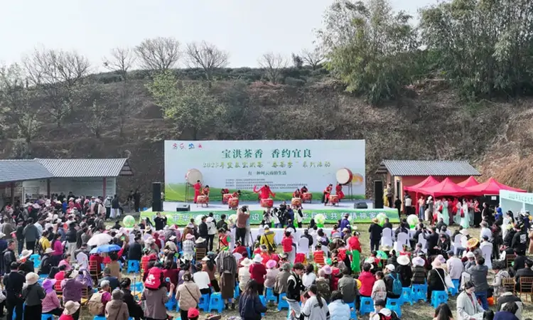 云南宜良：“茶＋文旅”创新赋能乡村振兴