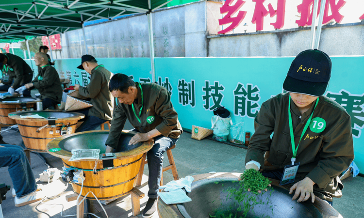 32位高手齐聚富阳 比拼炒茶技艺