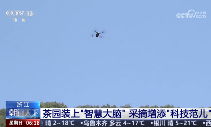 春茶开采，AI智能设备如何在茶园管理上“各显神通”？