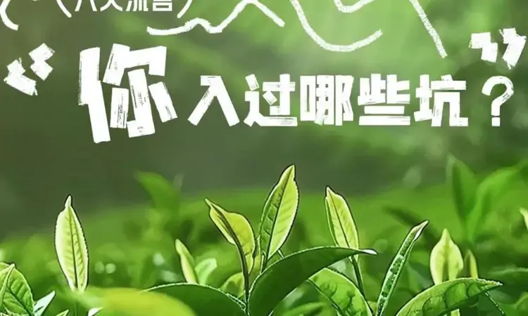 关于茶的八大流言，你入过哪些坑？