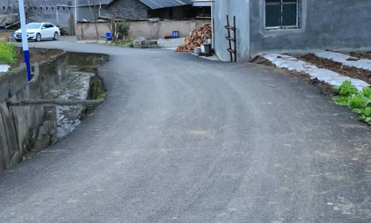 贵州七星关：一户一景美如画 千亩茶山促增收