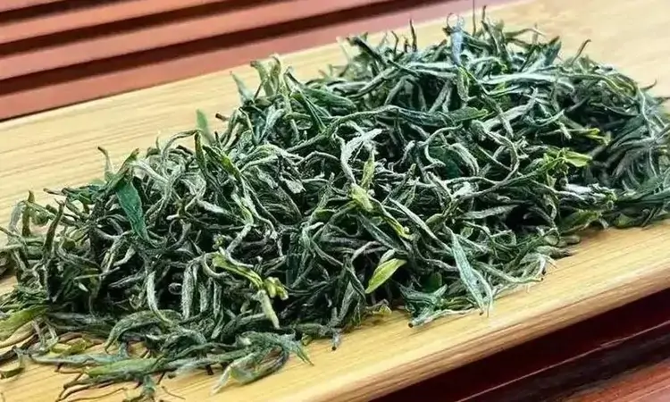 中原茶文化的代表:信阳毛尖