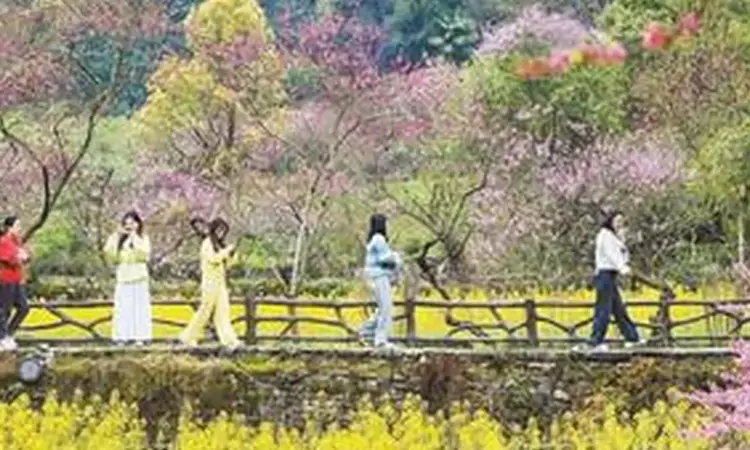 踏青、采茶、游园 重庆户外经济热潮涌动