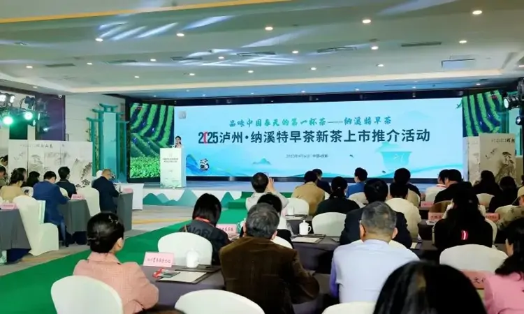 2025泸州·纳溪特早茶新茶上市推介活动在成都举行