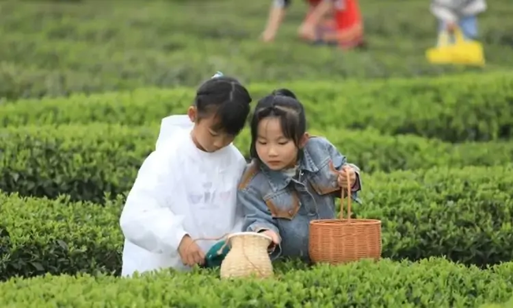 秀山峨溶镇举行“山水峨溶·和美茶乡”第五届茶文化节